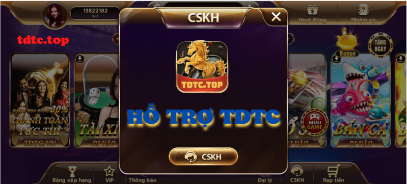 Hỗ trợ TDTC