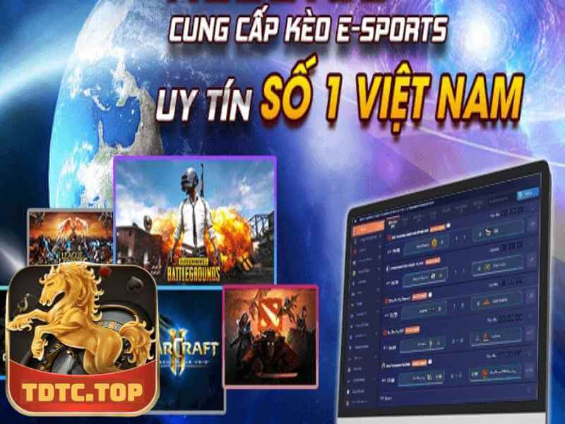 Cá Cược Esports Là Gì? Tìm Hiểu Nhà Cái TDTC 