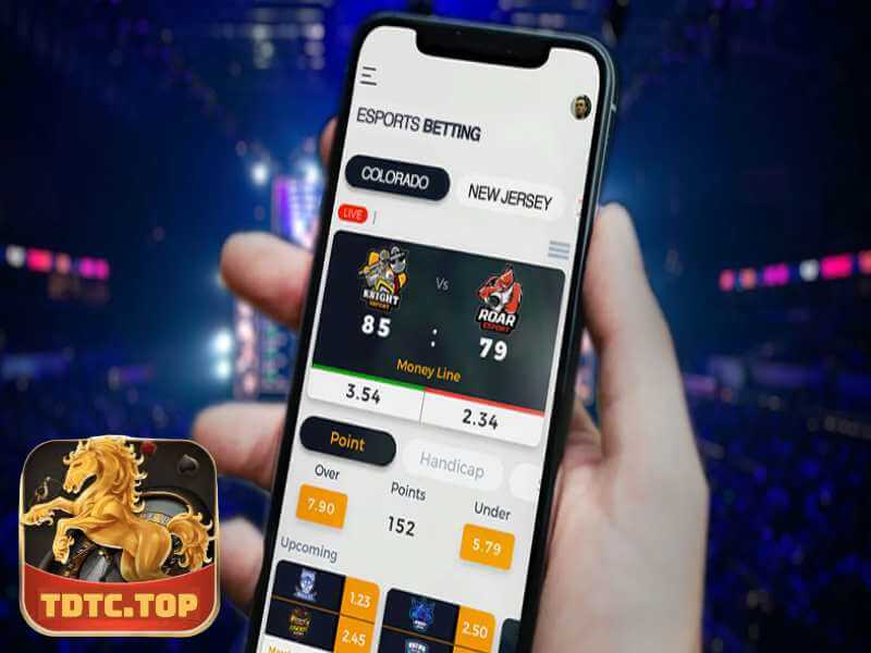 TDTC Và Bí Quyết Trở Thành Game Thủ Esport Chuyên Nghiệp