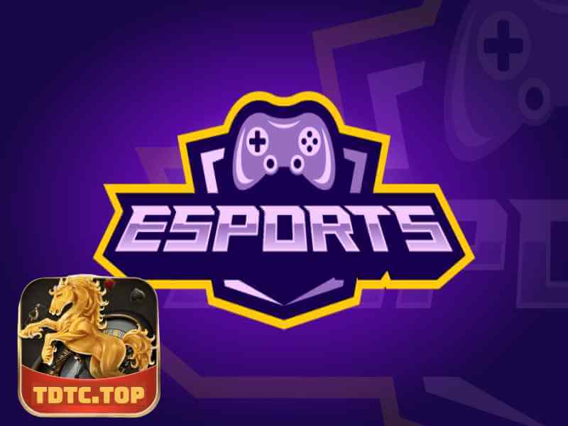 TDTC Gợi Ý Top Game Esport Được Yêu Thích Nhất Hiện Nay