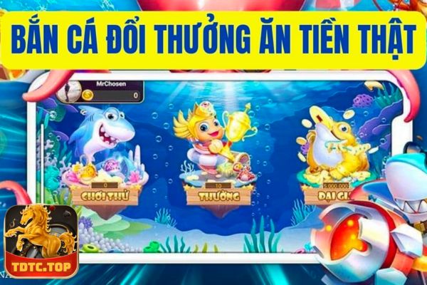 game bắn cá rút tiền mặt TDTC